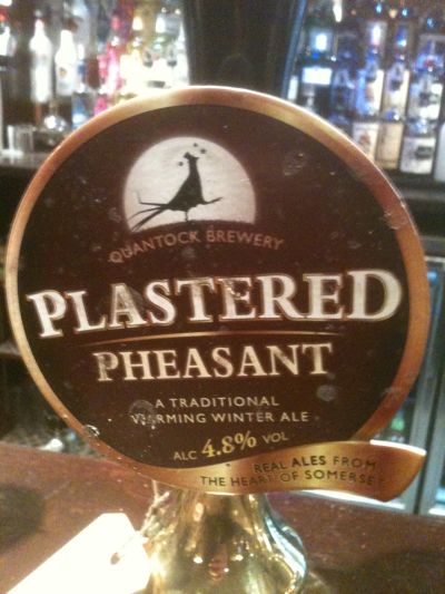 Quantock Plastered Pheasant