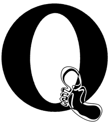 Big Toe Q (Quinoa Beer)