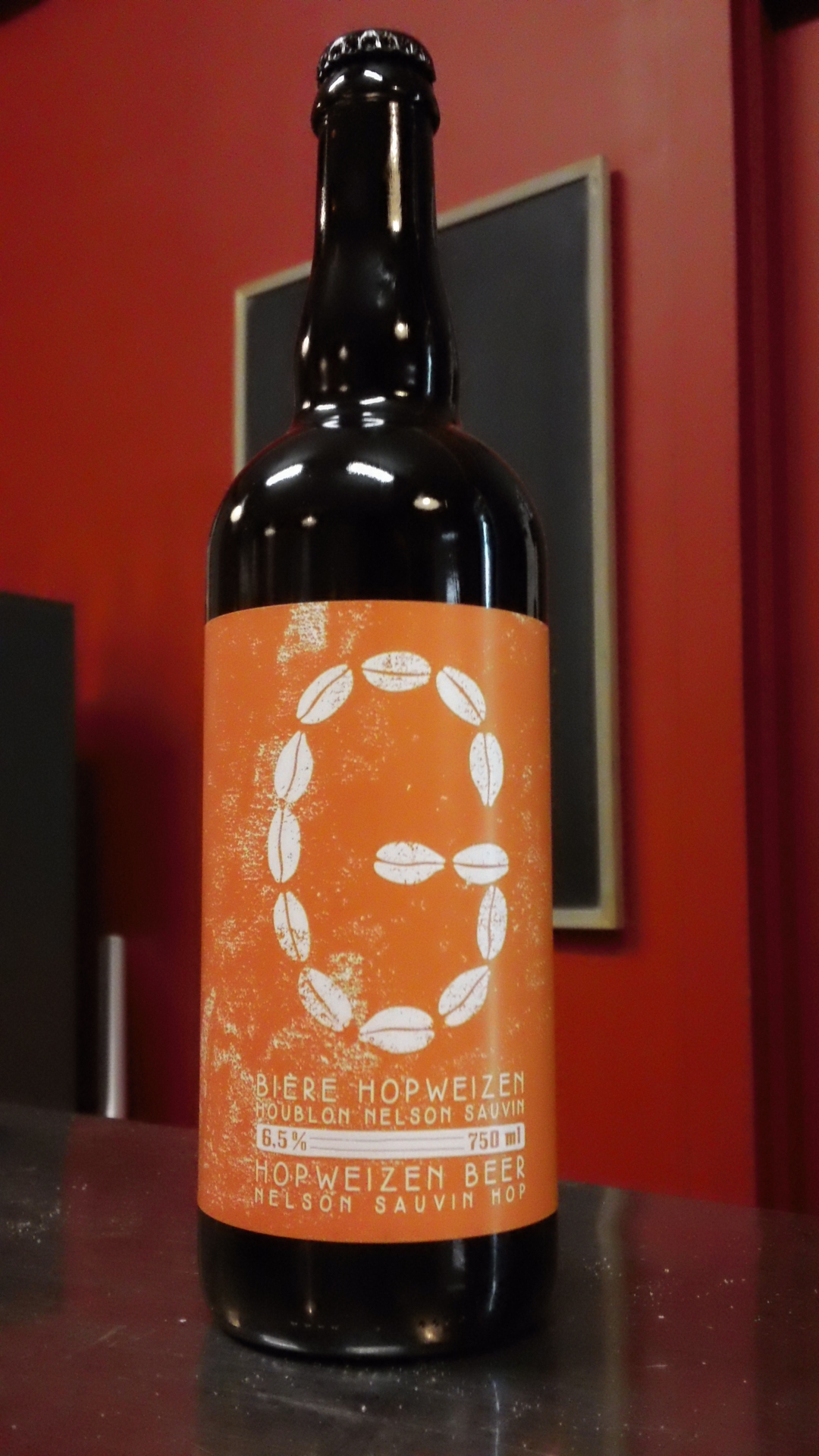 Brasseurs Illimités G - Hopweizen Nelson Sauvin