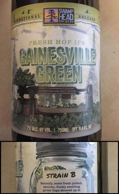 Swamp Head Gainesville Green (Strain B - Citra)