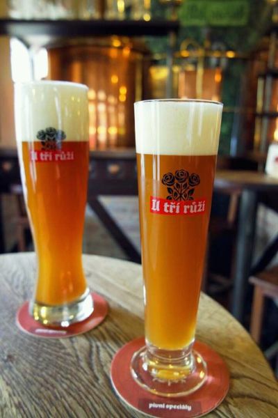 U Tří Růží Starobavorské Pšeňičné / Alt - Bayerische Weissbier