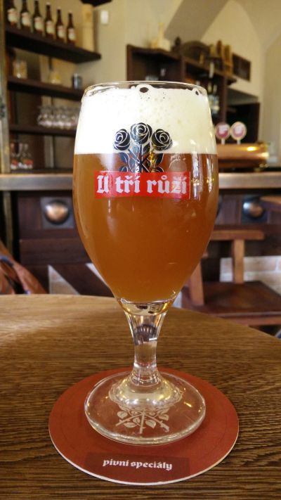 U Tří Růží Simcoe Amber Ale 14°