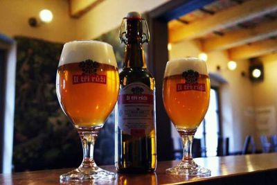 U Tří Růží American Pale Ale 14°