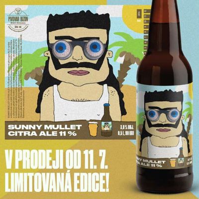 U Bizona Sunny Mullet Citra Ale 11°