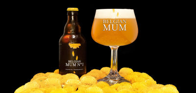 Belgian Mum N°1