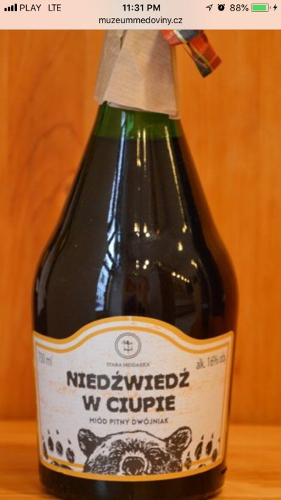 Stara Miodarka Dwójniak Niedźwiedź w Ciupie