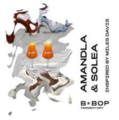 B BOP Fermentory Amandla