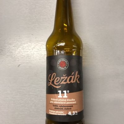 U Bizona Košik.cz Ležák 11°